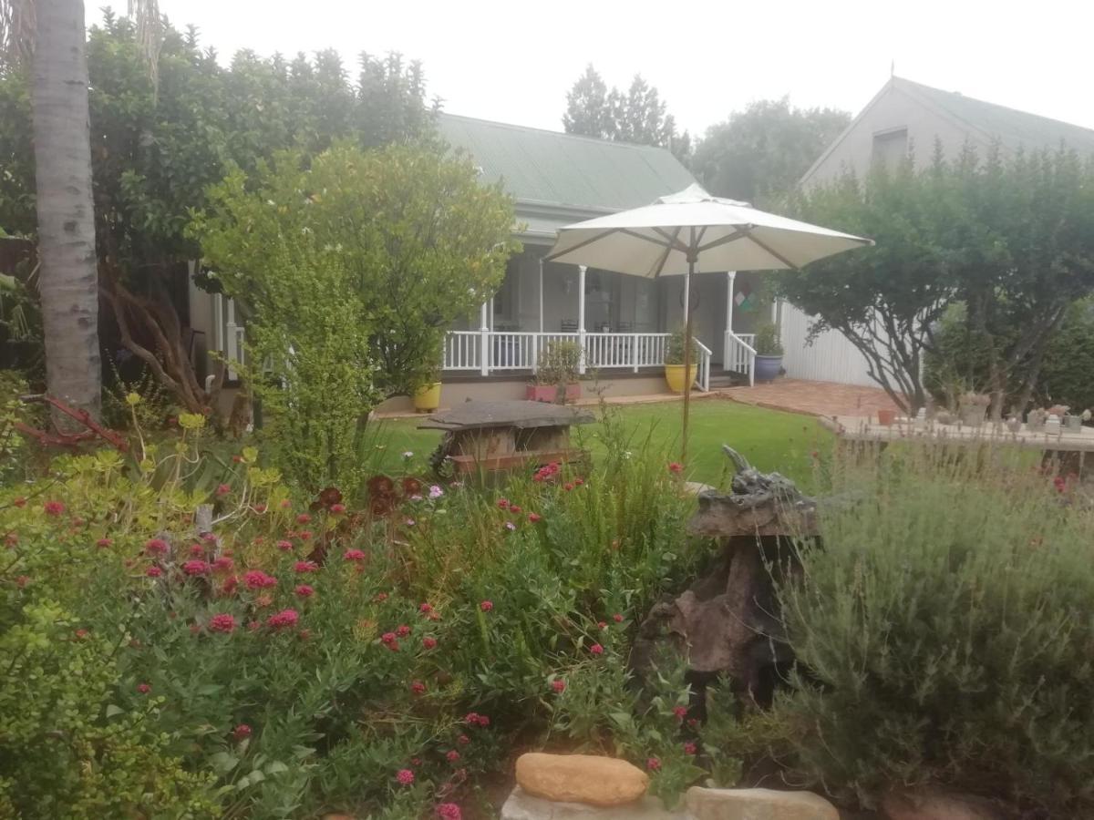 Housemartin & Self Catering Lodge *